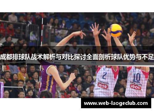 成都排球队战术解析与对比探讨全面剖析球队优势与不足
