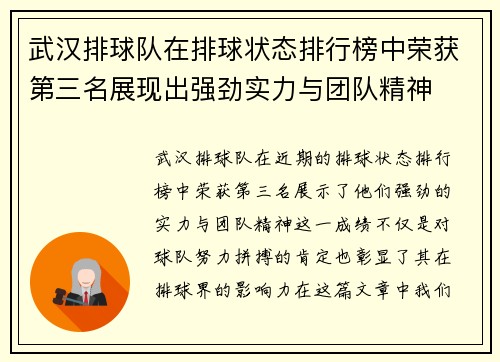 武汉排球队在排球状态排行榜中荣获第三名展现出强劲实力与团队精神